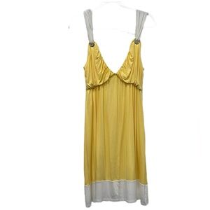 NWT Envi Dress